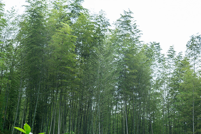 環(huán)控一體機，打造智能室內空氣環(huán)境